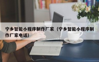 阳江宁乡智能小程序制作厂家（宁乡智能小程序制作厂家电话）
